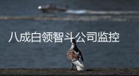 八成白領智斗公司監控 用百度瀏覽器暢爽海淘【科技】風尚中國網