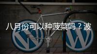 八月份可以種菠菜嗎？波菜8月中旬種可以嗎？