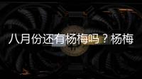 八月份還有楊梅嗎？楊梅幾月份結(jié)束？