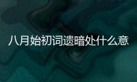 八月始初詞遺暗處什么意思  八月始初詞遺暗處意思是什么