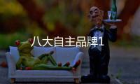八大自主品牌1