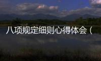 八項規定細則心得體會（八項規定細則）