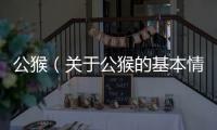 公猴（關于公猴的基本情況說明介紹）