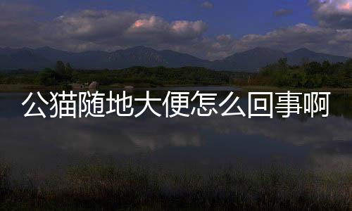 公貓隨地大便怎么回事啊？公貓隨地小便怎么辦