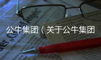 公牛集團(tuán)（關(guān)于公牛集團(tuán)的基本情況說明介紹）