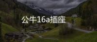 公牛16a插座