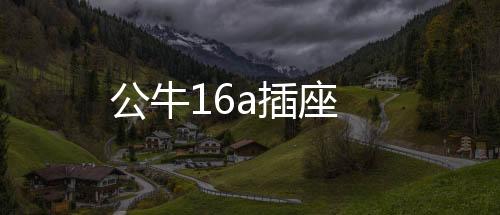 公牛16a插座