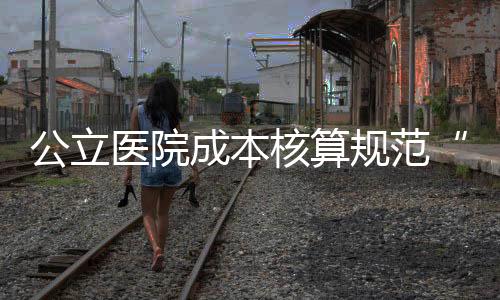 公立醫(yī)院成本核算規(guī)范“精要”速覽