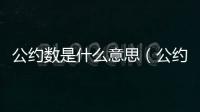 公約數(shù)是什么意思（公約數(shù)是什么）