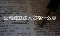 公司獨立法人資格什么意思（獨立法人資格的企業是什么意思）