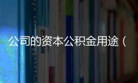 公司的資本公積金用途（資本公積金的用途）