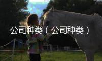 公司種類（公司種類）