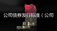 公司債券發行標準（公司債券發行條件）