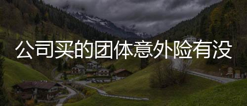 公司買的團(tuán)體意外險(xiǎn)有沒有誤工費(fèi)