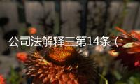 公司法解釋三第14條（公司法解釋三）