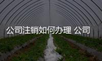 公司注銷如何辦理 公司申請注銷怎么處理