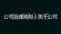 公司治理結(jié)構(gòu)（關(guān)于公司治理結(jié)構(gòu)的基本情況說(shuō)明介紹）