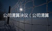公司清算決議（公司清算決議）