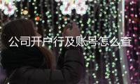 公司開戶行及賬號怎么查詢（公司賬號開戶行查詢）