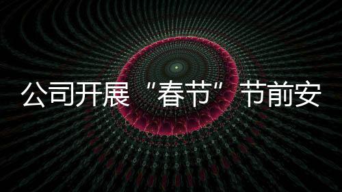 公司開展“春節”節前安全生產工作檢查