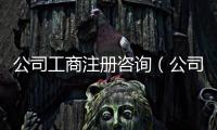 公司工商注冊咨詢（公司工商注冊流程）