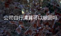 公司自行清算可以撤回嗎（公司自行清算）