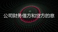 公司財(cái)務(wù)借方和貸方的意思（財(cái)務(wù)借方和貸方是什么意思）