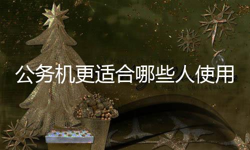 公務機更適合哪些人使用