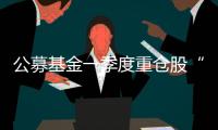 公募基金一季度重倉股“浮出水面” 工業(yè)、信息技術(shù)等行業(yè)受青睞