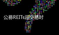 公募REITs迎交易時刻 探訪“準買家”出手之道