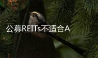 公募REITs不適合A股市場IPO中常見的“炒新”