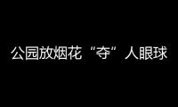 公園放煙花“奪”人眼球 建甌男子獲刑還賠錢(qián)