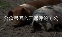 公眾號怎么開通評論（公眾號怎么開通）