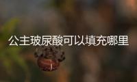 公主玻尿酸可以填充哪里大公布，并回答公主玻尿酸隆鼻會(huì)讓鼻子變寬嗎？