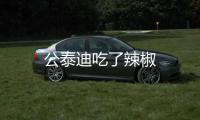公泰迪吃了辣椒