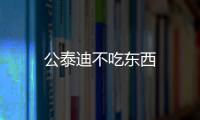 公泰迪不吃東西