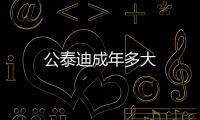 公泰迪成年多大