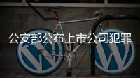 公安部公布上市公司犯罪案例 嚴打財務造假