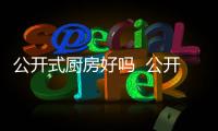 公開式廚房好嗎  公開式的廚房怎樣解決油煙問題,行業資訊