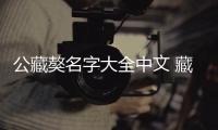 公藏獒名字大全中文 藏獒大全