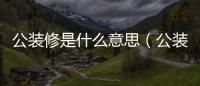 公裝修是什么意思（公裝是什么意思）