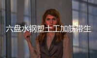 六盤水鋼塑土工加筋帶生產廠家