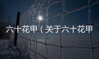 六十花甲（關于六十花甲的基本情況說明介紹）