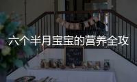 六個半月寶寶的營養全攻略輔食食譜大公開