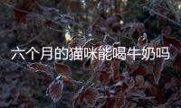 六個月的貓咪能喝牛奶嗎(六個月寶寶可以喝牛奶嗎)
