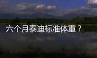 六個月泰迪標準體重？ 4個月茶杯泰迪的肩高標準