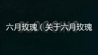 六月玫瑰（關(guān)于六月玫瑰的基本情況說明介紹）
