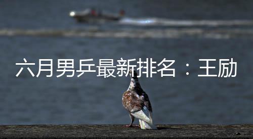 六月男乒最新排名：王勵勤退出前三 蔣澎龍猛升