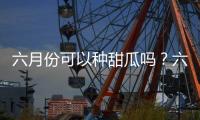 六月份可以種甜瓜嗎？六月份可以種香瓜嗎？