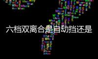 六檔雙離合是自動(dòng)擋還是手動(dòng)擋（雙離合是自動(dòng)擋還是手動(dòng)擋）